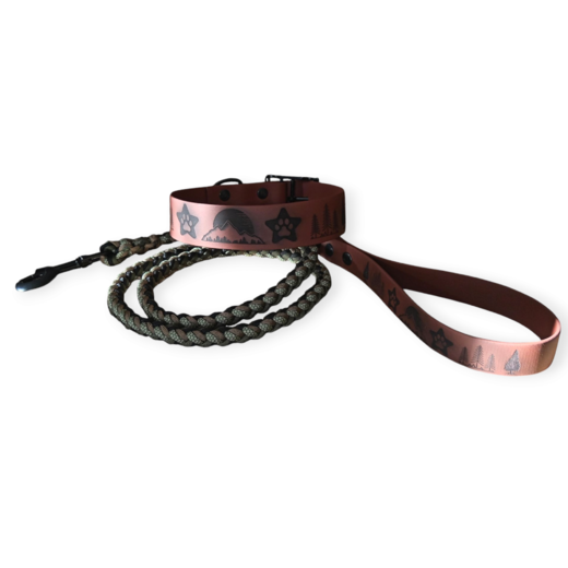IMG_20250124_115223 (1).png