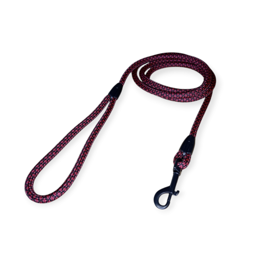 Photoroom-20250207_125138 (1).png