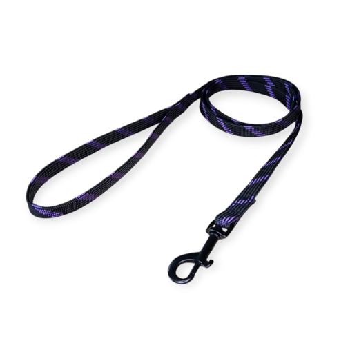 Photoroom-20250213_121823 (1).png